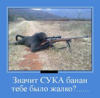 Картинки со смешными подписями