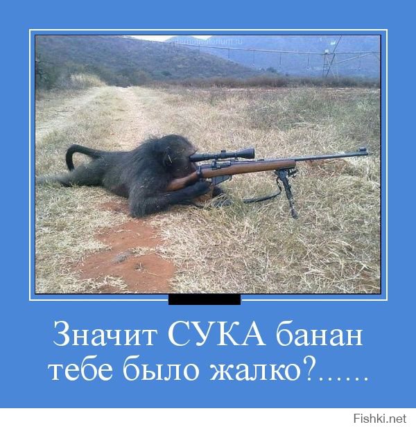 Картинки со смешными подписями