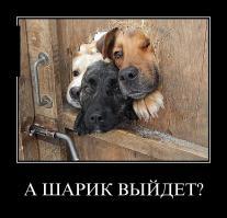 Попутчица