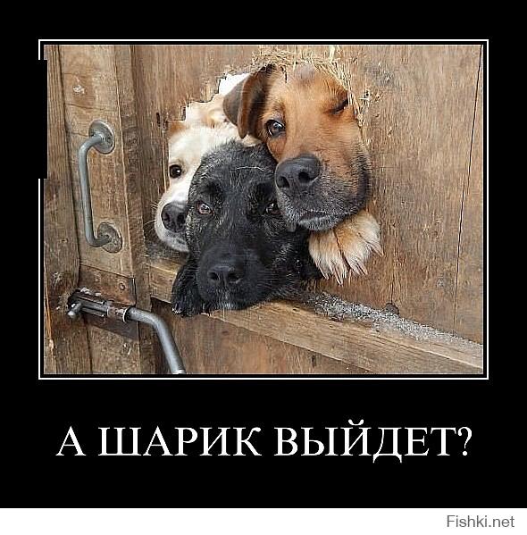 Попутчица