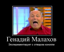 Малахов.Начало