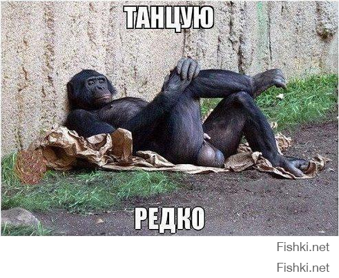 Пятница, сегодня будут танцы!
