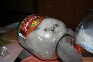 Шедеврально!