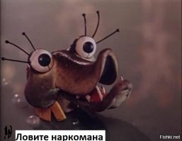 Щуки на охоте, топ 5 атак зубастых хищниц