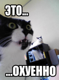 Чесалка для кота