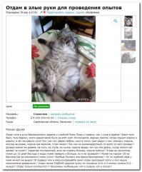 Может баян, но всё же выложу, как же хорошо описал)))
