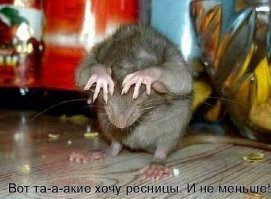 Улыбки, перед которыми невозможно устоять