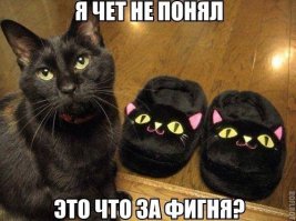 Симпатичные зверушки