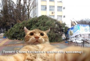 Напомнило