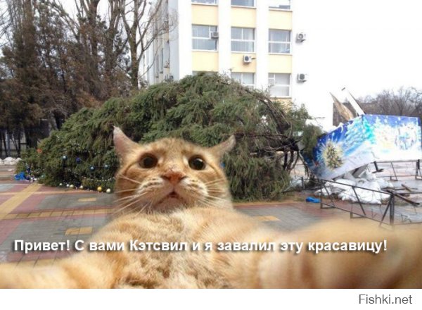 Напомнило