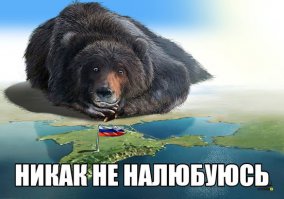 Политические карикатуры