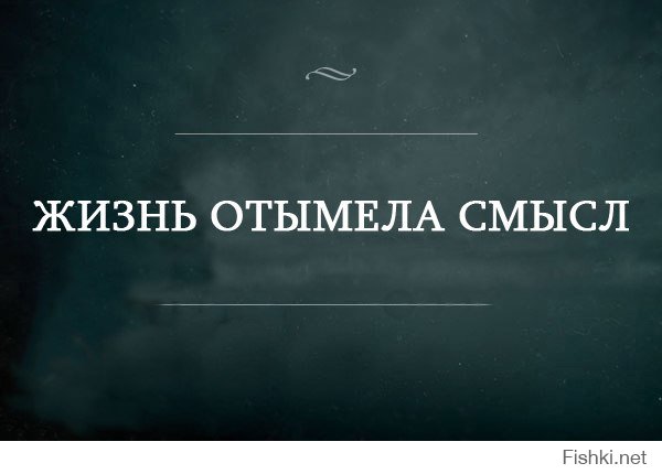 Вестник социальных сетей