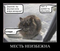 Котоматрицы на Новый год
