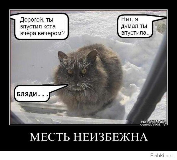 Котоматрицы на Новый год