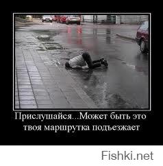 Лужи, которые открывают порталы в другие миры