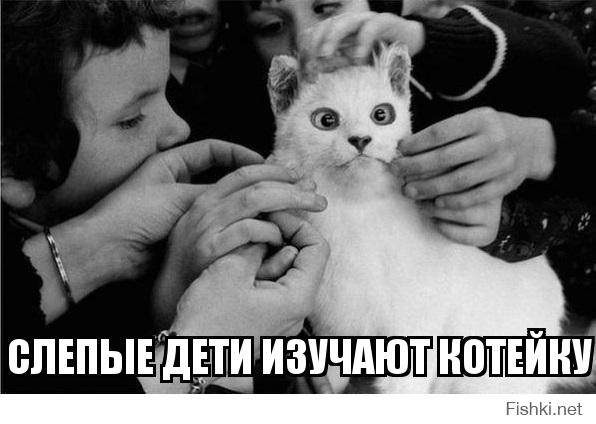 а что тут смешного?