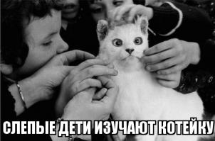 а что тут смешного?