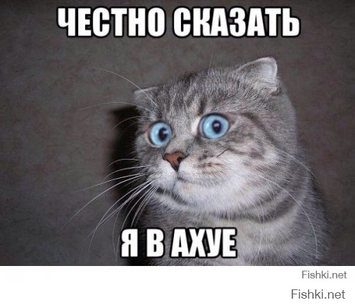 Нарывается на комплимент Нарывается на комплимент