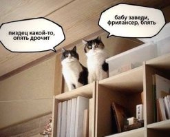 Немного юмора и позитива в начале рабочей неделе