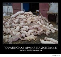"Мыздобулы" в картинках. Смешные и не очень...Ч.10