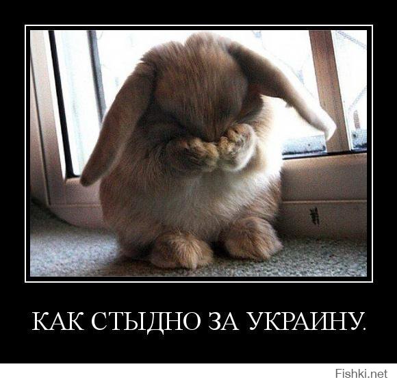 Даже такие ребята дают "прикурить" укропам!