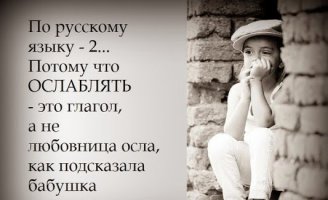 Просто смешные картинки с подписями