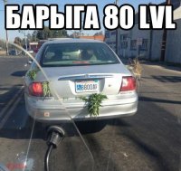 Автоприколы