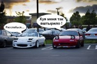 Автоприколы