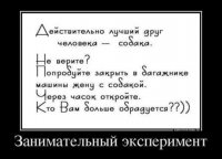 Все хорошо, что хорошо заканчивается. А еще желательно, чтобы весело