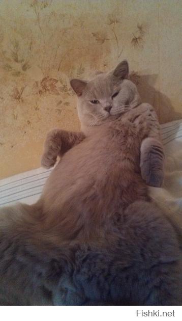 А так мой кот выпендривается.