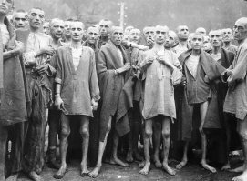 Вот они голодали, а по толстой морде и фигуре этой бандеровки не видно и пары недель голодовки.