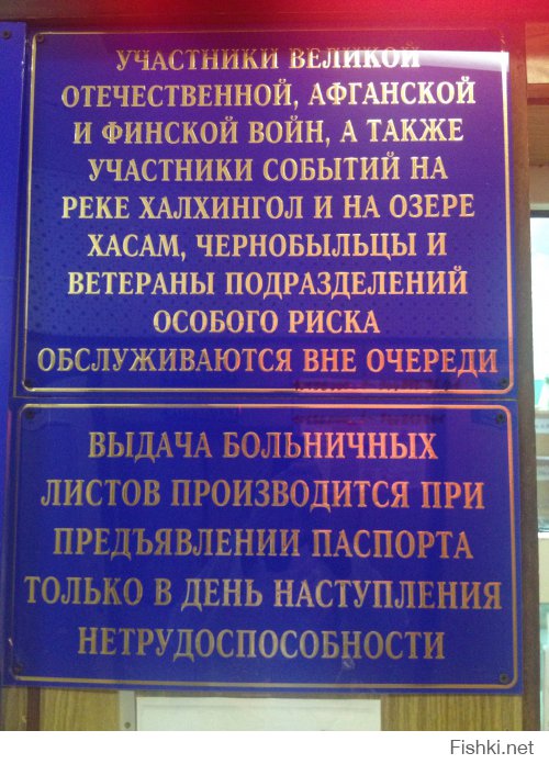 Картинки из сумасшедшего дома