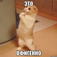 Вася против геноцида