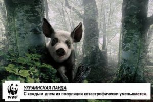 Картинки со смешными подписями