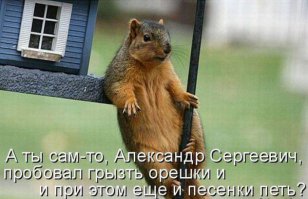 Картинки со смешными подписями
