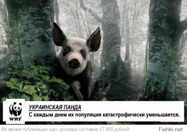 Картинки со смешными подписями