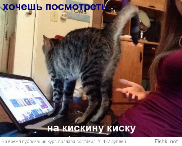 Картинки со смешными подписями