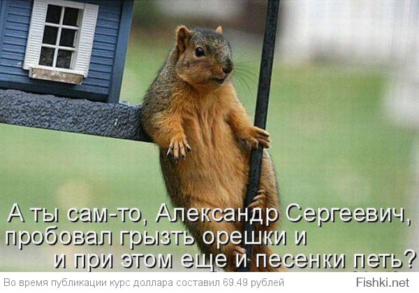 Картинки со смешными подписями