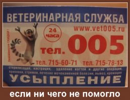 Смешные надписи и объявления
