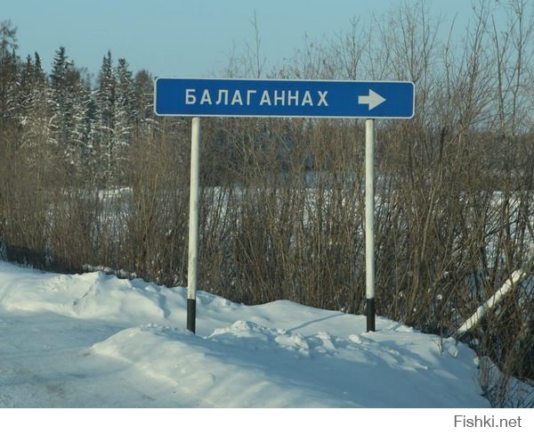 Смешные надписи и объявления
