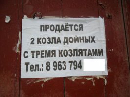 Смешные надписи и объявления
