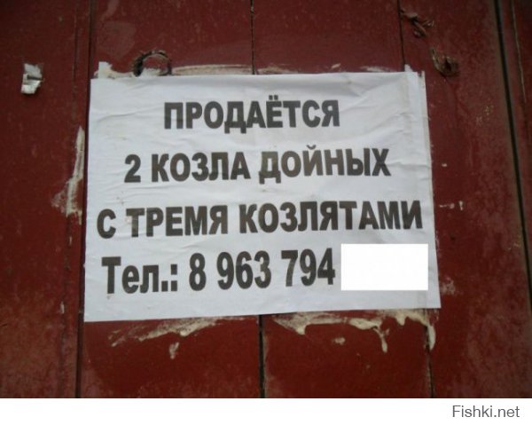 Смешные надписи и объявления