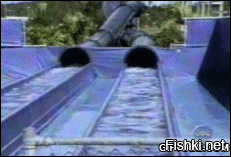 Гифки дня