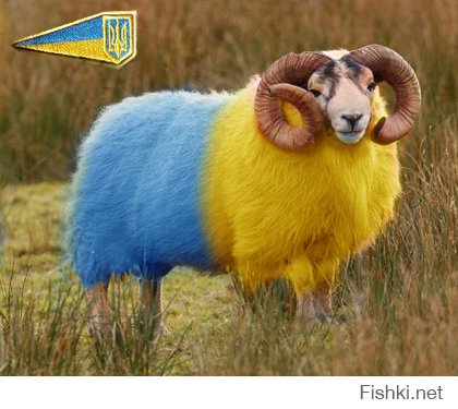 Так кто тупая вата?