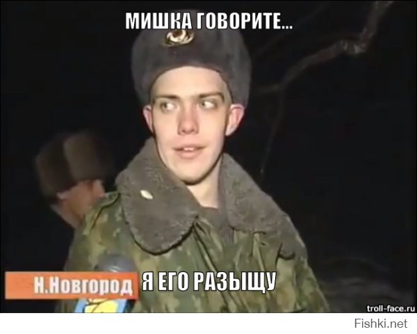 Очень умный кот