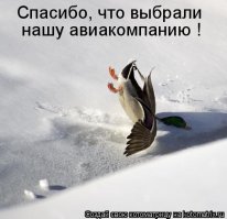 Удачный кадр