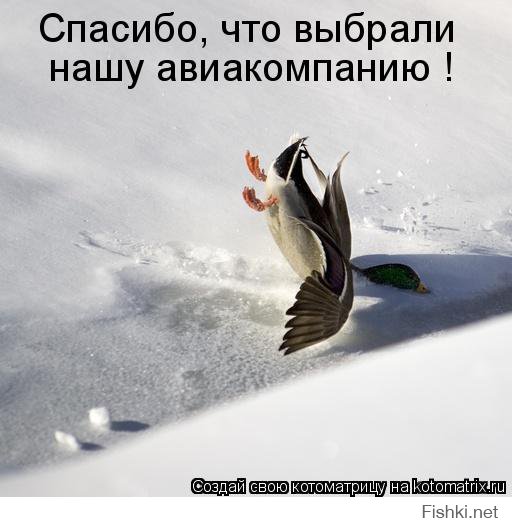 Удачный кадр
