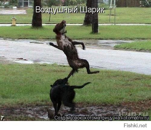Удачный кадр