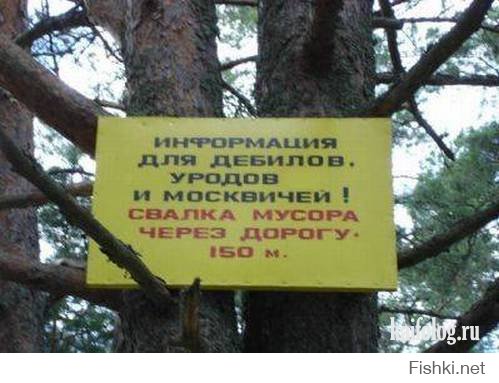 Прикольные надписи и объявления