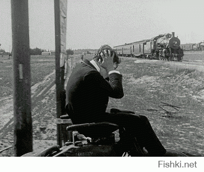 Гифки дня